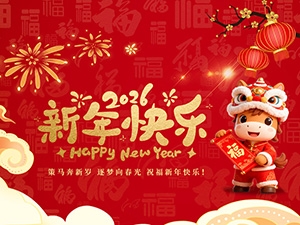 江苏亚如捷车业有限公司祝大家新年快乐！