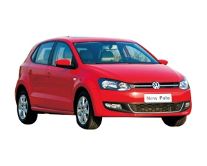 11POLO-5D