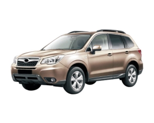 武汉13FORESTER